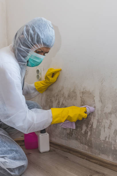 Best Asbestos and Lead Testing During Mold Inspection  in Corona De Tucson, AZ