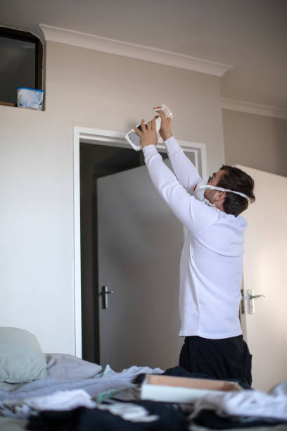 Best Mold Odor Removal Services  in Corona De Tucson, AZ