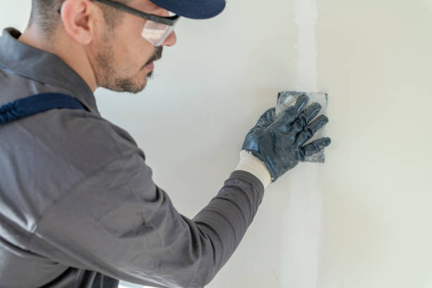 Best Mold-Related Health Consultation  in Corona De Tucson, AZ