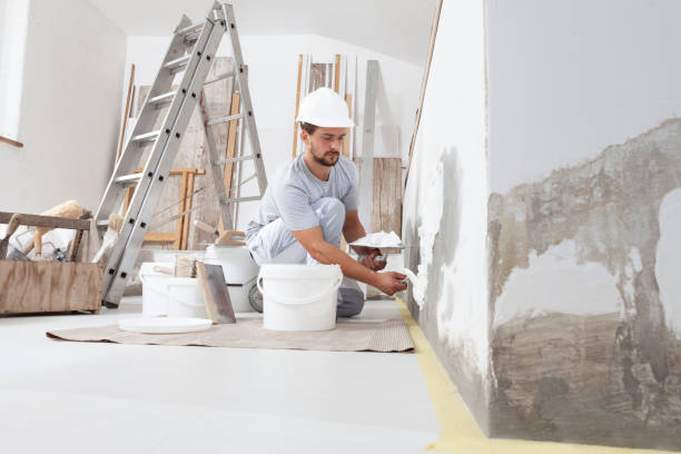 Best Emergency Mold Remediation  in Corona De Tucson, AZ
