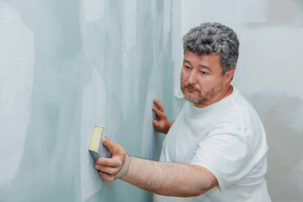 Best Dehumidification Services  in Corona De Tucson, AZ